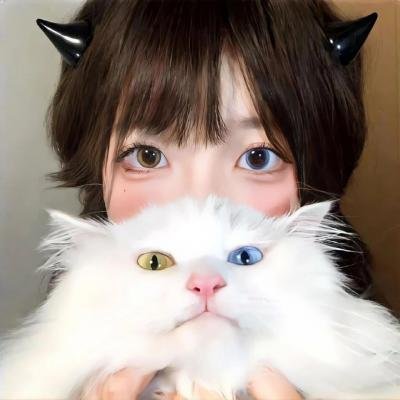 新妇日记
